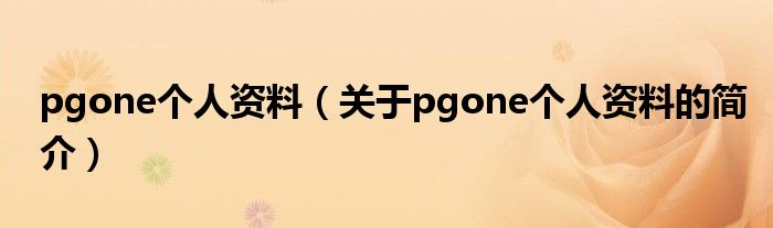 pgone個人資料（關(guān)于pgone個人資料的簡介）