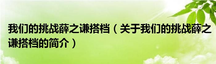 我們的挑戰(zhàn)薛之謙搭檔（關于我們的挑戰(zhàn)薛之謙搭檔的簡介）