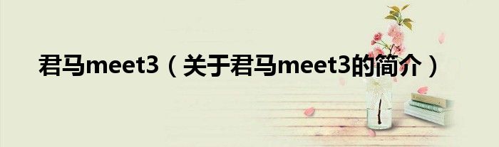 君馬meet3（關(guān)于君馬meet3的簡(jiǎn)介）