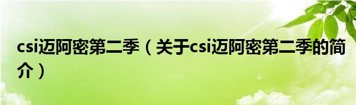 csi邁阿密第二季（關于csi邁阿密第二季的簡介）