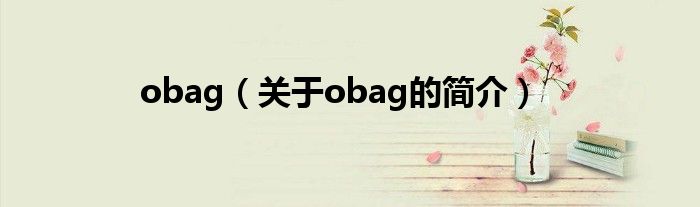 obag（關(guān)于obag的簡(jiǎn)介）