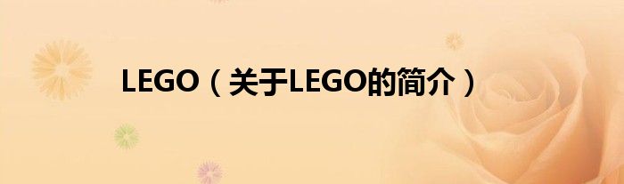 LEGO（關于LEGO的簡介）