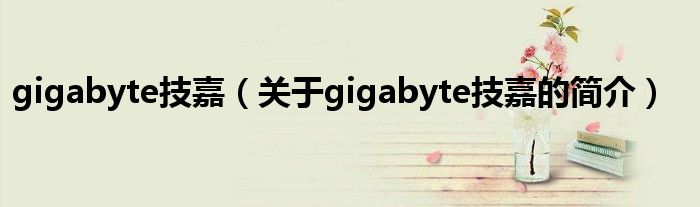 gigabyte技嘉（關(guān)于gigabyte技嘉的簡(jiǎn)介）