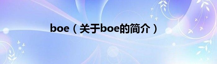 boe（關(guān)于boe的簡介）