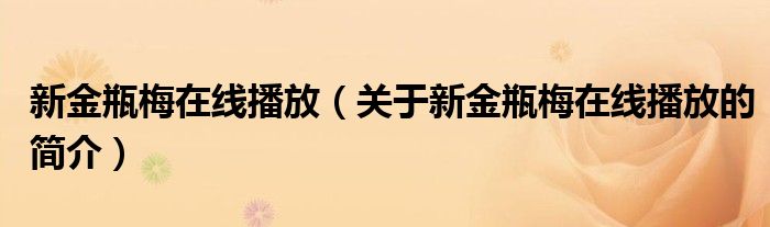 新金瓶梅在線播放（關(guān)于新金瓶梅在線播放的簡介）