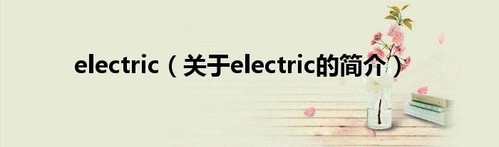 electric（關于electric的簡介）