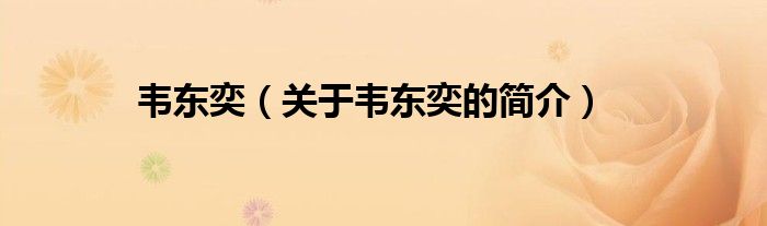 韋東奕（關(guān)于韋東奕的簡(jiǎn)介）