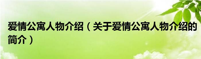 愛情公寓人物介紹（關(guān)于愛情公寓人物介紹的簡(jiǎn)介）