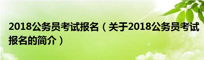 2018公務(wù)員考試報名（關(guān)于2018公務(wù)員考試報名的簡介）