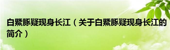 白鱀豚疑現(xiàn)身長江（關(guān)于白鱀豚疑現(xiàn)身長江的簡介）