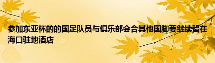 參加?xùn)|亞杯的的國(guó)足隊(duì)員與俱樂(lè)部會(huì)合其他國(guó)腳要繼續(xù)留在?？隈v地酒店