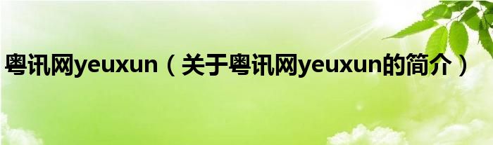 粵訊網(wǎng)yeuxun（關(guān)于粵訊網(wǎng)yeuxun的簡(jiǎn)介）