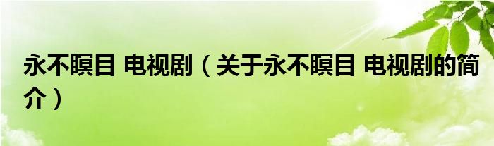 永不瞑目 電視?。P于永不瞑目 電視劇的簡介）