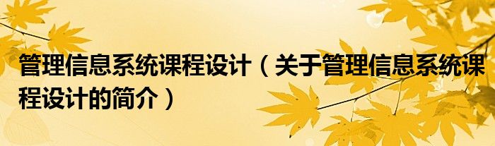 管理信息系統(tǒng)課程設(shè)計（關(guān)于管理信息系統(tǒng)課程設(shè)計的簡介）