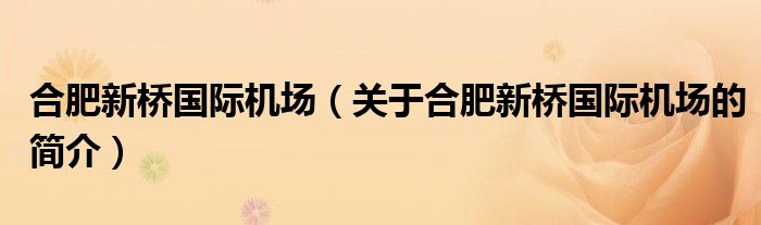 合肥新橋國際機場（關于合肥新橋國際機場的簡介）