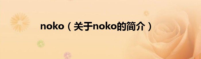 noko（關(guān)于noko的簡介）