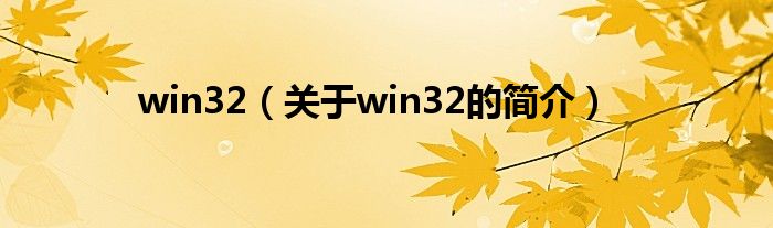 win32（關(guān)于win32的簡(jiǎn)介）