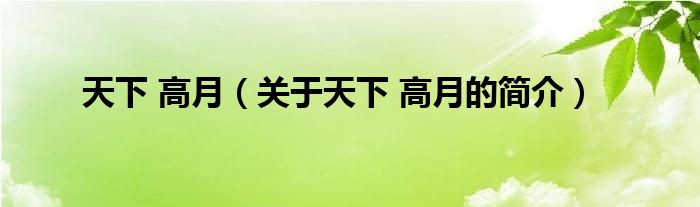 天下 高月（關(guān)于天下 高月的簡介）