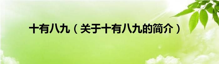 十有八九（關(guān)于十有八九的簡(jiǎn)介）