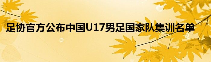 足協(xié)官方公布中國U17男足國家隊集訓名單