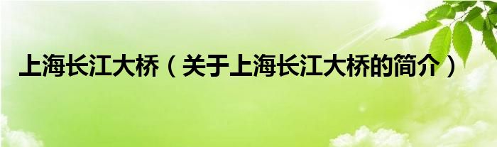 上海長江大橋（關(guān)于上海長江大橋的簡(jiǎn)介）