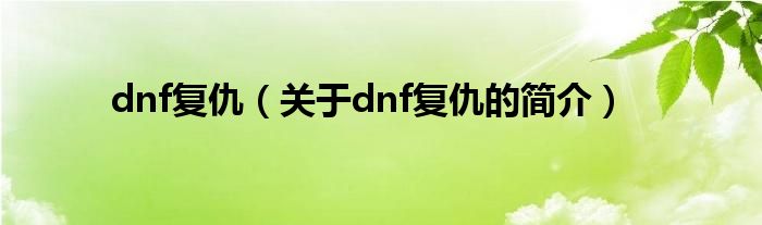 dnf復(fù)仇（關(guān)于dnf復(fù)仇的簡(jiǎn)介）