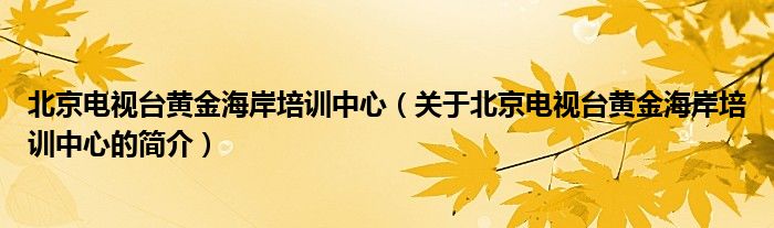 北京電視臺黃金海岸培訓中心（關(guān)于北京電視臺黃金海岸培訓中心的簡介）