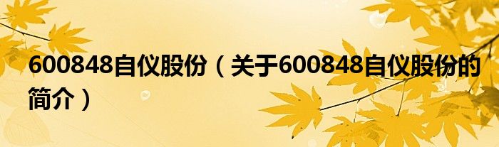 600848自儀股份（關(guān)于600848自儀股份的簡介）