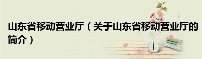 山東省移動營業(yè)廳（關于山東省移動營業(yè)廳的簡介）