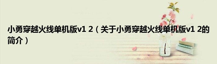 小勇穿越火線單機(jī)版v1 2（關(guān)于小勇穿越火線單機(jī)版v1 2的簡介）