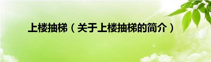 上樓抽梯（關(guān)于上樓抽梯的簡(jiǎn)介）