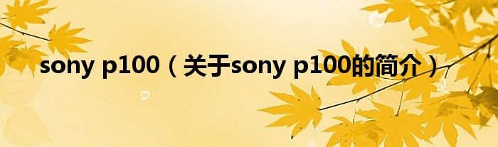 sony p100（關(guān)于sony p100的簡(jiǎn)介）