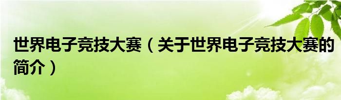 世界電子競技大賽（關(guān)于世界電子競技大賽的簡介）