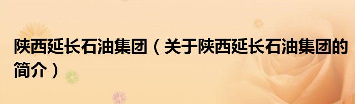 陜西延長石油集團(tuán)（關(guān)于陜西延長石油集團(tuán)的簡介）