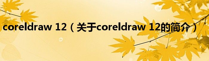 coreldraw 12（關(guān)于coreldraw 12的簡介）