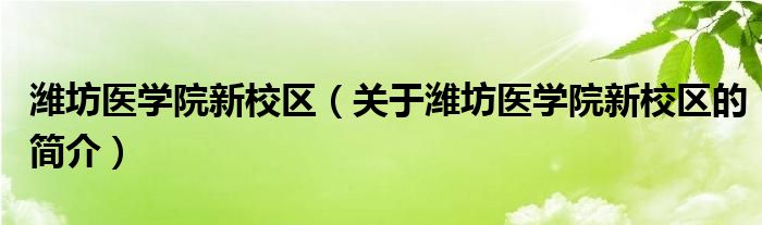 濰坊醫(yī)學(xué)院新校區(qū)（關(guān)于濰坊醫(yī)學(xué)院新校區(qū)的簡(jiǎn)介）