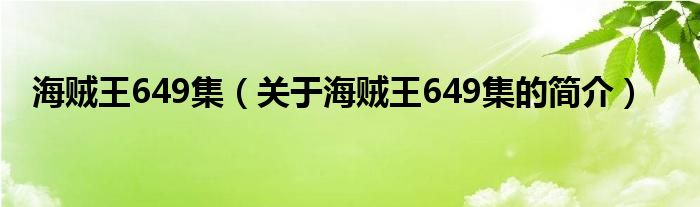 海賊王649集（關(guān)于海賊王649集的簡介）