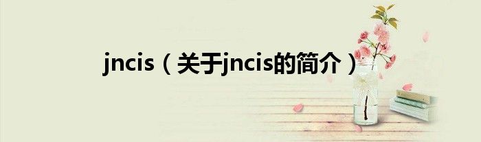 jncis（關(guān)于jncis的簡介）