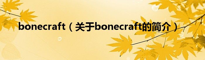 bonecraft（關(guān)于bonecraft的簡介）