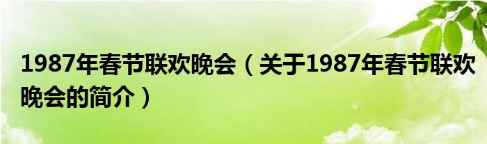 1987年春節(jié)聯(lián)歡晚會（關于1987年春節(jié)聯(lián)歡晚會的簡介）