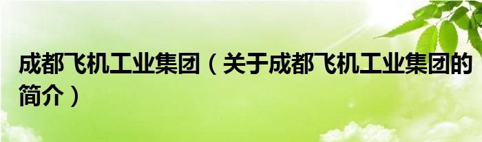 成都飛機(jī)工業(yè)集團(tuán)（關(guān)于成都飛機(jī)工業(yè)集團(tuán)的簡(jiǎn)介）