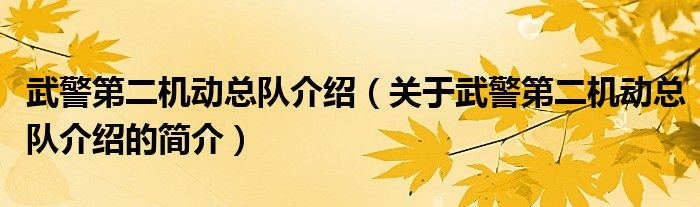 武警第二機(jī)動(dòng)總隊(duì)介紹（關(guān)于武警第二機(jī)動(dòng)總隊(duì)介紹的簡(jiǎn)介）