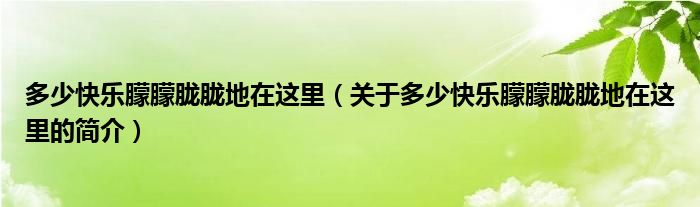 多少快樂朦朦朧朧地在這里（關于多少快樂朦朦朧朧地在這里的簡介）