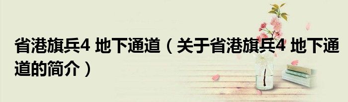 省港旗兵4 地下通道（關(guān)于省港旗兵4 地下通道的簡介）