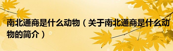 南北通商是什么動物（關(guān)于南北通商是什么動物的簡介）