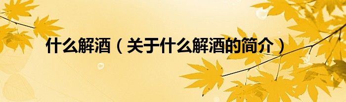 什么解酒（關(guān)于什么解酒的簡(jiǎn)介）