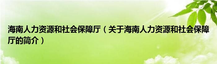 海南人力資源和社會保障廳（關(guān)于海南人力資源和社會保障廳的簡介）