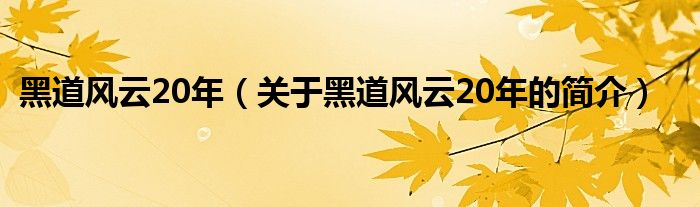 黑道風(fēng)云20年（關(guān)于黑道風(fēng)云20年的簡介）