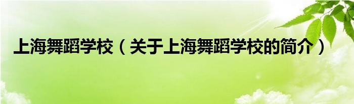 上海舞蹈學(xué)校（關(guān)于上海舞蹈學(xué)校的簡介）