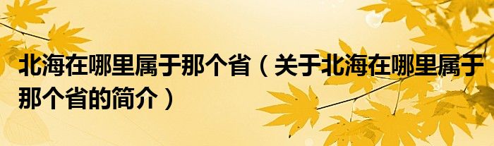 北海在哪里屬于那個?。P(guān)于北海在哪里屬于那個省的簡介）